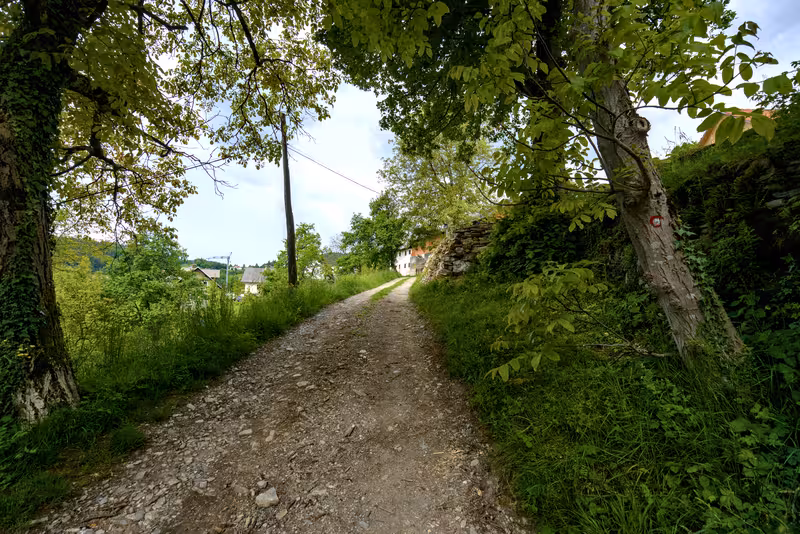 The path.