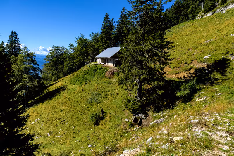 The hut.
