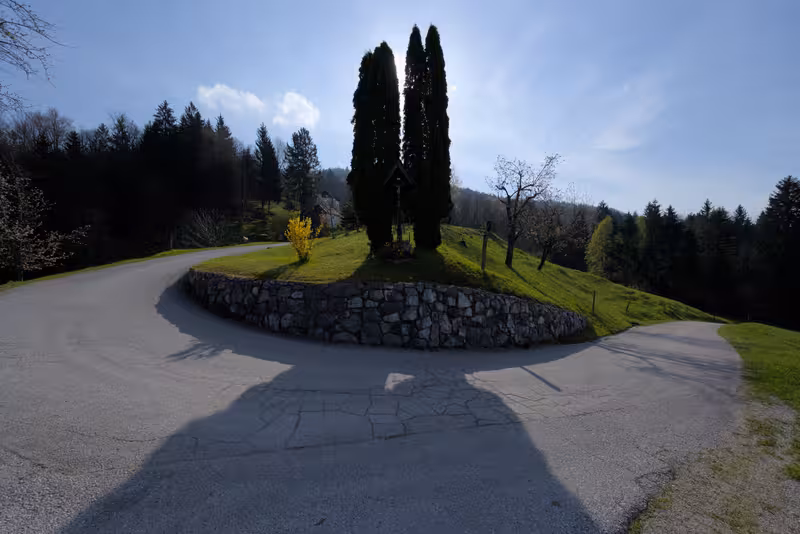 The path.