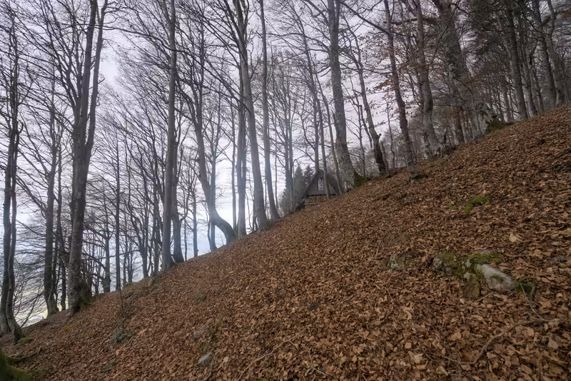 Zavetišče v Hudičevem borštu.