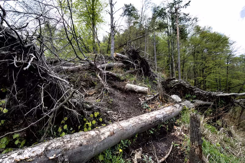 The steep path.