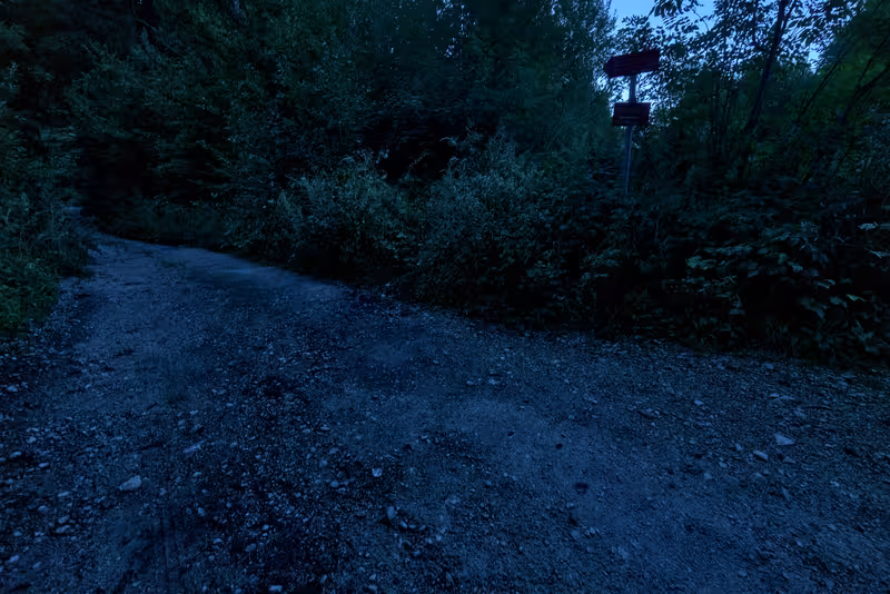 The path.