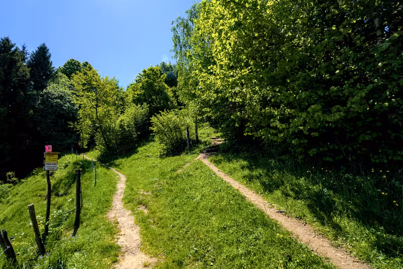 The path splits.